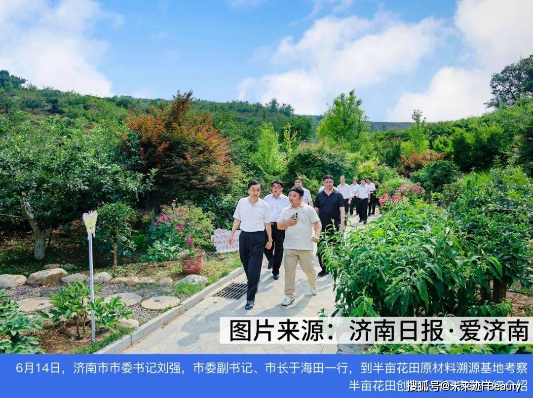半亩花田的“花”式创新密码开元棋牌解码6