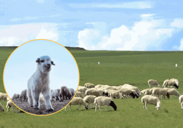 洗完澡3分钟做好这件事皮肤真的会变嫩