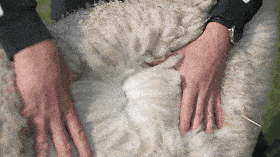 洗完澡3分钟做好这件事皮肤真的会变嫩(图4)